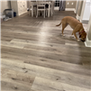 Spring Tech Junction Valley Luxury Vinyl Plank Flooring installed in a dining room with a dog on sale at low, wholesale prices at springtechvinyl.com