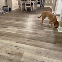 Spring Tech Junction Valley Luxury Vinyl Plank Flooring installed in a dining room with a dog on sale at low, wholesale prices at springtechvinyl.com
