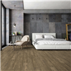Happy Feet Stone Elegance II Cocoa Luxury Vinyl Plank Flooring installed in a room