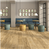 Parkay Floors Origin Dune Water Resistant Laminate Flooring on sale at wholesale prices at springtechvinyl.com
